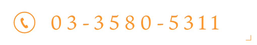 TEL：03-3580-5311